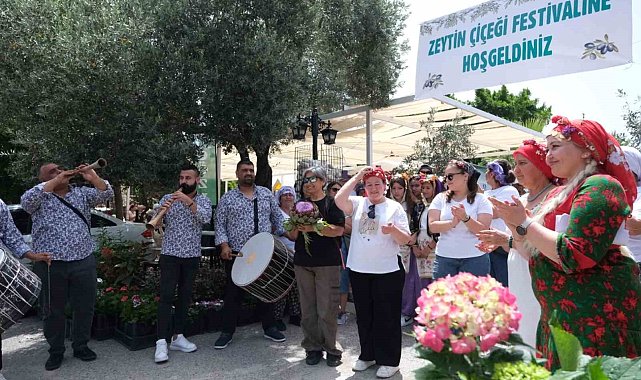 Zeytin Çiçeği Festivali, renkli görüntülerle başladı