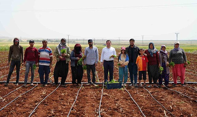 Zor şartlarda çalışan çiftçiler, 1 Mayıs'ta tarlalarını boş bırakmadı