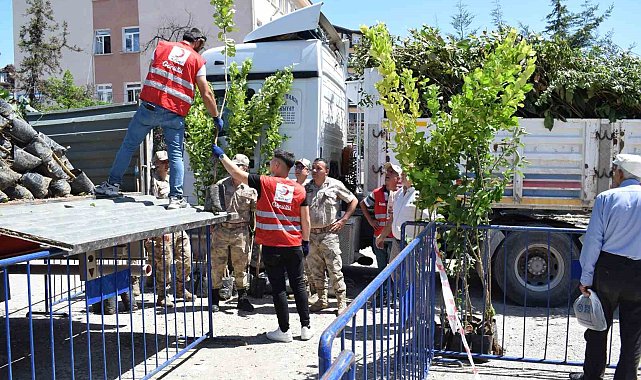 1 ünite kan verene 10 meyve fidanı hediye