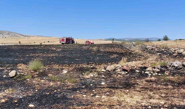 100 dönümlük arpa ekili alan yandı