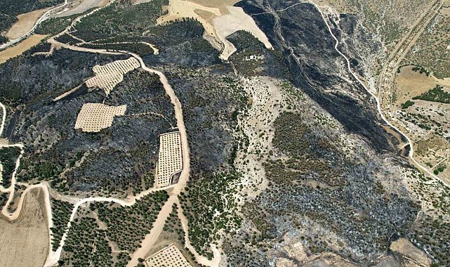 35 hektar alanın zarar gördüğü yangın sahası havadan görüntülendi