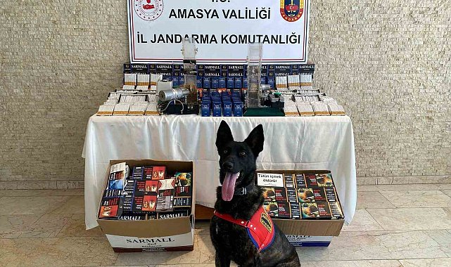 'Çilek'ten kaçak makarona geçit yok