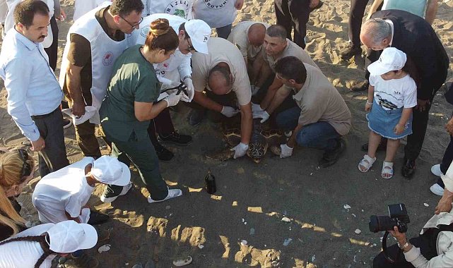 50 yaşındaki Caretta Caretta 2 yıl sonra denizle buluştu
