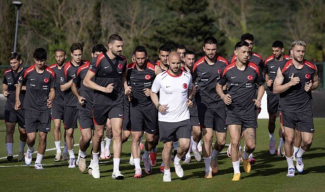 A Milli Futbol Takımı, Hannover'de halka açık antrenman yapacak