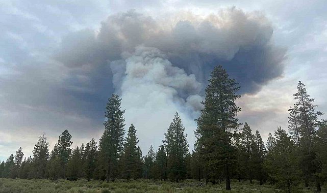 ABD'nin Oregon eyaletinde orman yangını: Bin 700 dönümlük alan kül oldu