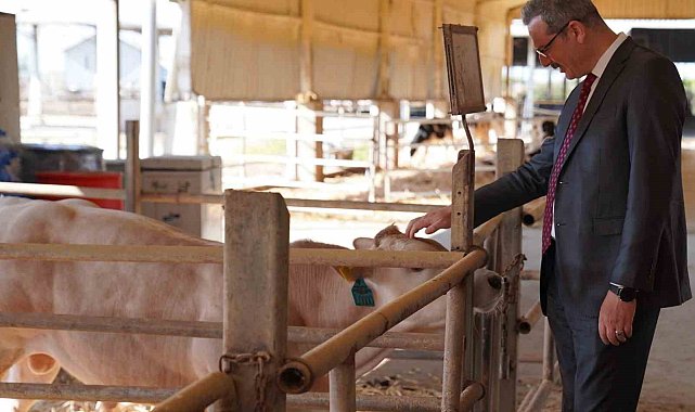 Adana'da 14 bin büyükbaş, 136 bin büyükbaş kurbanlık satışa sunuldu