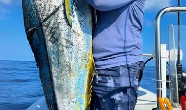 Adana&#039;da balıkçılar 26 kiloluk lambuka yakaladı