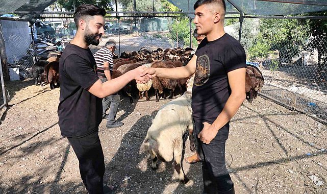 Adana'da kurban fiyatları düşüyor