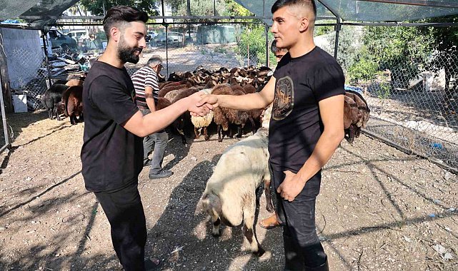 Adana'da kurbanlıklar satışa çıktı
