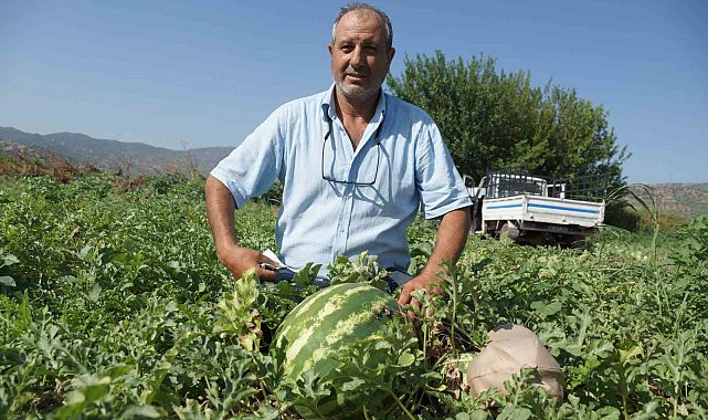 Adana'nın sıcağı Aydın'a yaradı