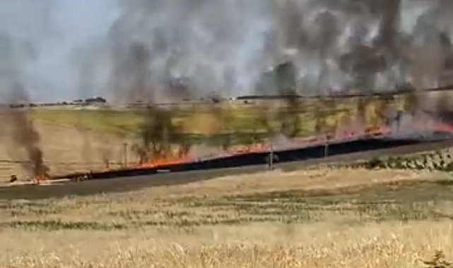 Adıyaman'da 40 dönümlük buğday tarlası yandı