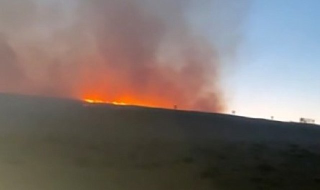 Afşin'de anız yangını