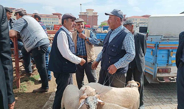 Afyonkarahisar'da küçükbaş kurbanlıklar müşterilerini bekliyor