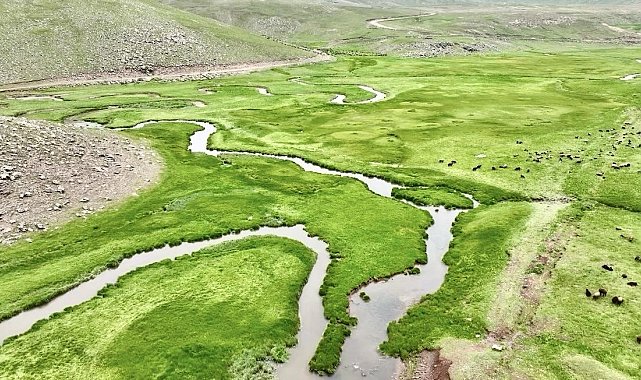 Ağrı'nın volkanik platolarındaki menderesler dronla görüntülendi