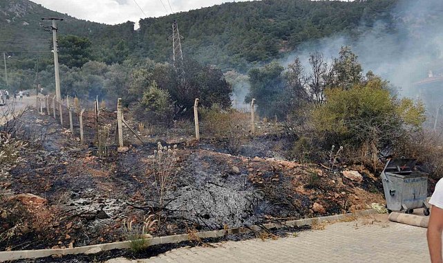 Akyaka'daki yangın kısa sürede söndürüldü