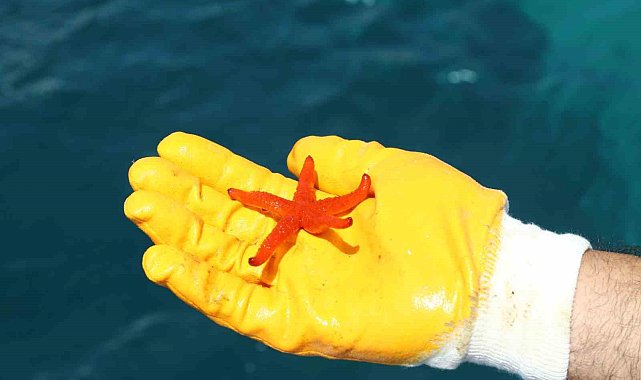 Akyarlar'da deniz dibi temizliği