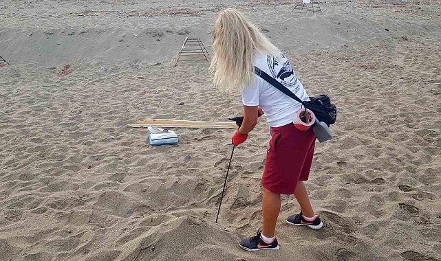 Alanya'da caretta caretta yuvalarında rekor kırıldı