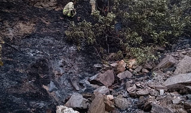 Alaşehir'de 50 dekarlık meyve bahçesi kül oldu