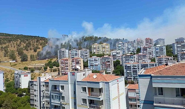 Aliağa'da orman yangını