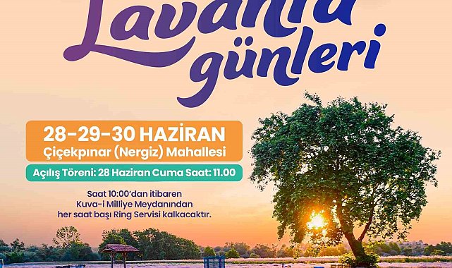 Altıeylül Belediyesi vatandaşları lavanta günlerine davet ediyor