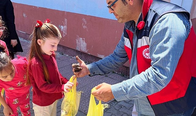 Altıntaş'ta ilkokul öğrencilerine 300 adet sebze fidesi dağıtıldı