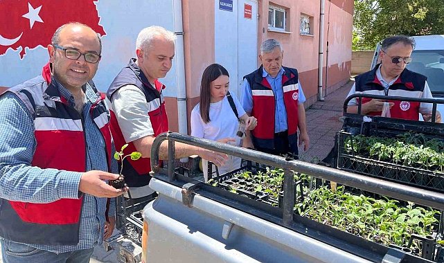 Altıntaş'ta ilkokul öğrencilerine sebze fidesi dağıtıldı