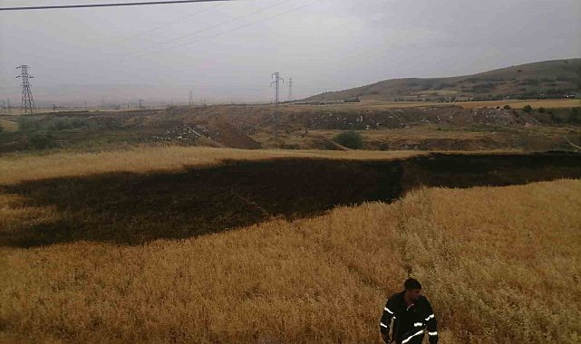 Amasya'da ekili araziye yıldırım düşmesi sonucu yangın çıktı