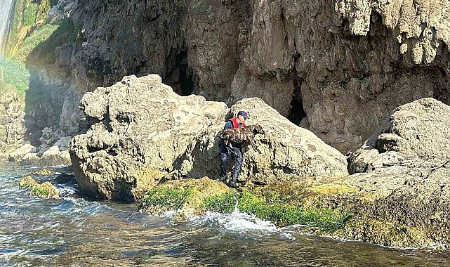 Antalya'da denize düşen köpeği Sahil Güvenlik ekipleri kurtardı