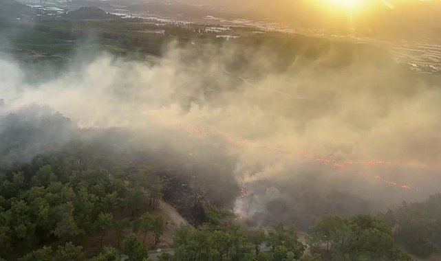 Antalya'da gece başlayan orman yangını sabahın ilk ışıkları ile kontrol altına alındı