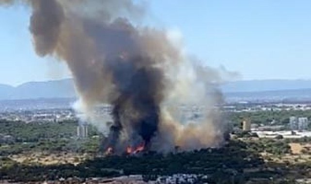 Antalya'da orman yangın