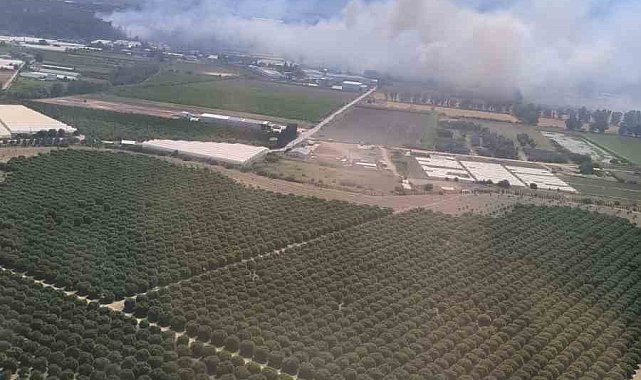 Antalya'da orman yangını