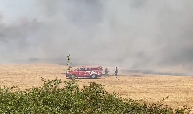 Antalya'da sazlık alan yangını