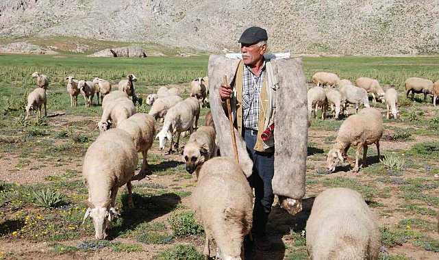 Antalya'da Yörüklerin yayla serüveni başladı