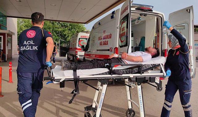 Arıların soktuğu genç ölümden döndü