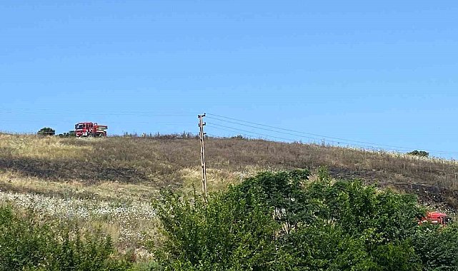 Arsuz'da ot ve çalı yangını, ormanlık alana sıçramadan söndürüldü