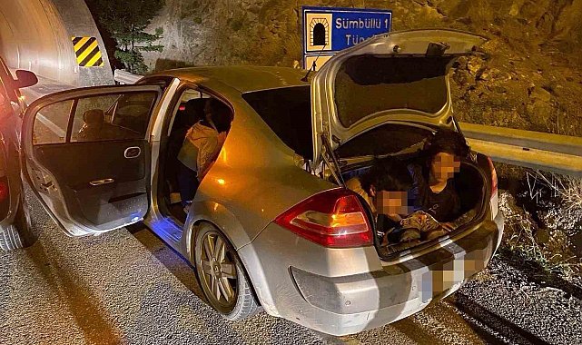 Artvin&#039;de otomobilin bagajından kaçak göçmen çıktı