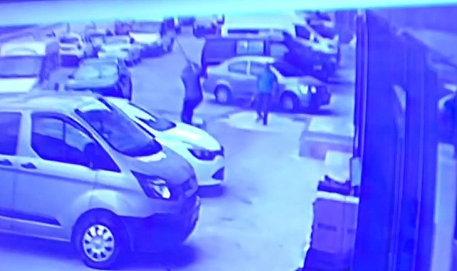 Artvin'de sokak köpeğine kürekle saldırı tepki topladı