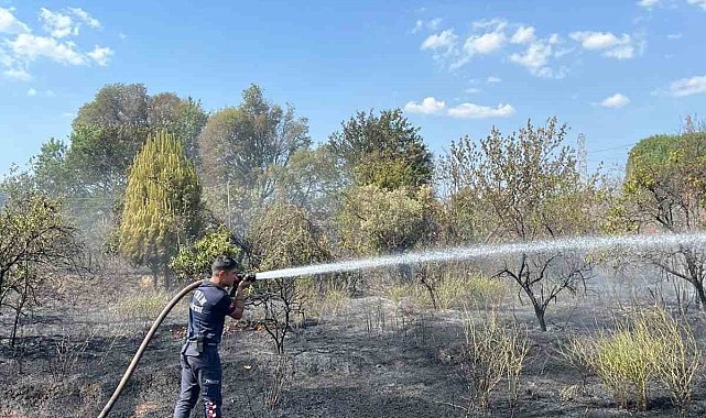 Aydın Büyükşehir Belediyesi İtfaiyesi'nden hızlı müdahale