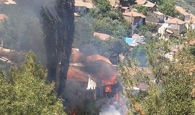 Aydın'da iki ayrı noktada yangın çıktı