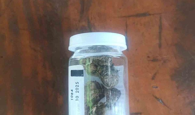 Aydın'da jandarma ekipleri uyuşturucuya geçit vermiyor