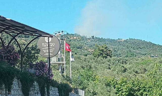 Ayvacık'ta orman yangını