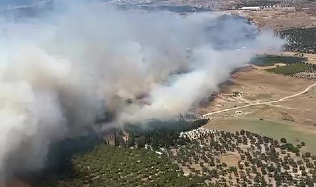 Ayvalık'ta çöplükte çıkan yangın otluk araziye sıçradı