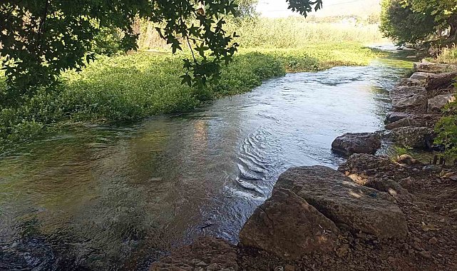 Azmak içindeki otlar tehlike saçıyor