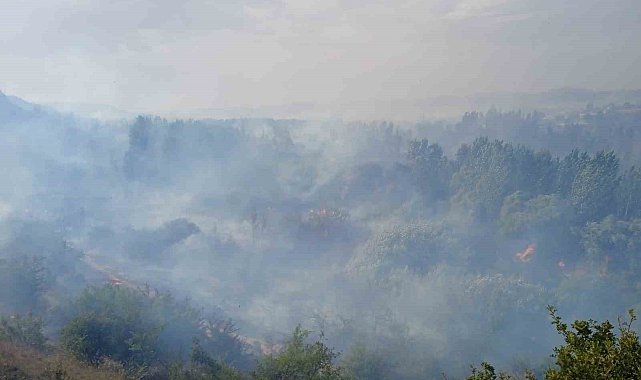 Babadağ'daki yangında dumanların arasında kalan şahıs yoğun bakıma kaldırıldı