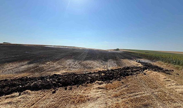 Babaeski'de elektrik direğine çarpan kuş tarlayı yaktı