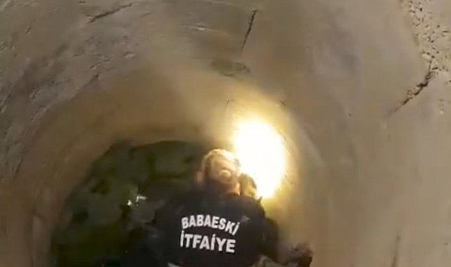 Babaeski'de kanala düşen kedi kurtarıldı