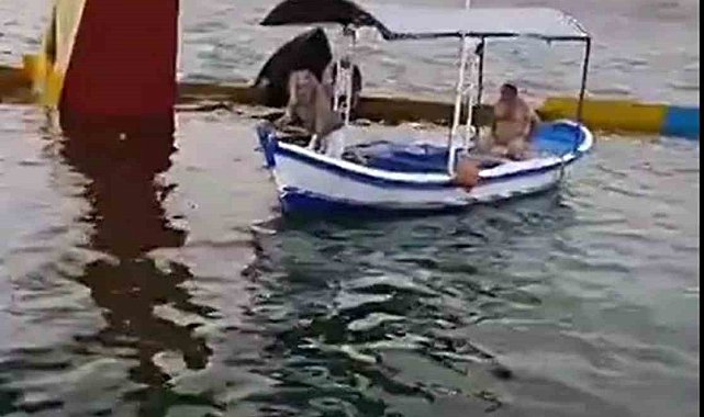 Bafa Gölü'nde pilotların kurtarılma anı görüntüleri ortaya çıktı