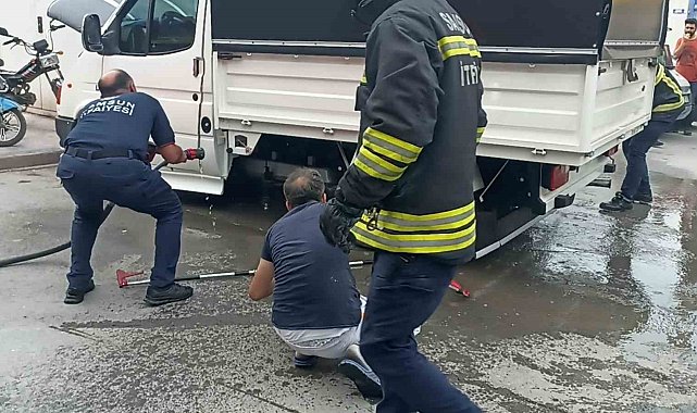 Bafra'da yılan operasyonu