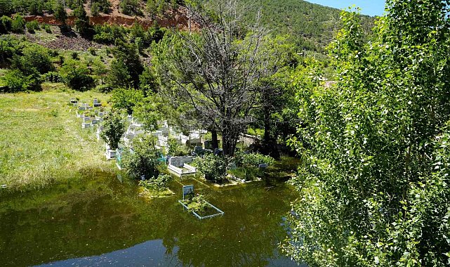 Baraj suları yükseldi mezarlıklar yine sular altında kaldı