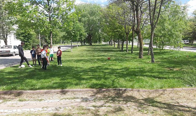 Başıboş köpekler Sivas'ta dehşet saçtı